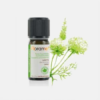 Aceite Esencial de Cilantro Coriandrum Sativum ORG - 5ml - Florame