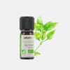 Aceite Esencial de Albahaca Ocimum basilicum - 5ml - Florame