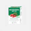 Berberina 500 mg - 90 cápsulas - Novo Horizonte