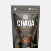 Chaga Bio - 100g - Iswari