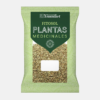 FITOSOL Diente de León - 40g - Ynsadiet