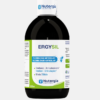 ERGYNUTRIL Advance vainilla - 300g - Nutergia