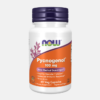 Pycnogenol 100 mg - 60 veg cápsulas - Now