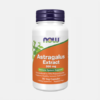 Astragalus Extract - 90 cápsulas - Now