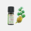 Cedro Atlas Cedrus Atlantica Aceite Esencial - 10ml - Florame