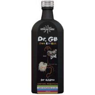 Dr. GB – 250ml-  Hifas da Terra