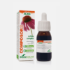 Composor 08 Echinacea Complex - 50 ml - Soria Natural