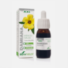 Damiana extracto natural - 50ml - Soria Natural