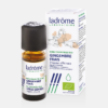 AE Jengibre Zingiber officinale Bio - 10ml - Ladrôme