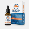 Natural Oil Blend CBD 15% + Melatonina - 10ml - Soria Natural