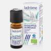 AE Eucalipto globulus Eucalyptus globulus Bio - 10ml - Ladrôme