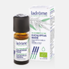 AE Eucalipto Radiata Eucalyptus radiata Bio - 10ml - Ladrôme