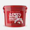 100% Whey Protein Professional Chocolate Hazelnut - 5000g - Scitec Nutrition