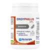 ERGYPHILUS HPy - 60 cápsulas - Nutergia