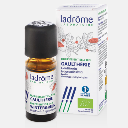 AE Wintergreen Gaultheria fragrantissima Bio – 10ml – Ladrôme