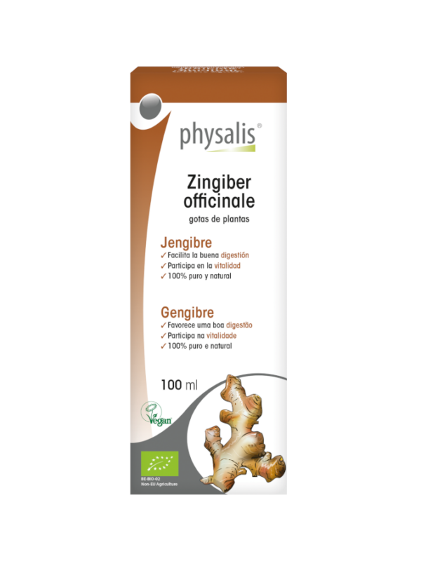 Zingiber officinale gotas - 100ml - Physalis