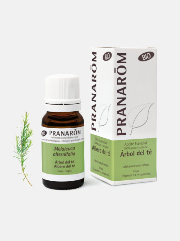 AE Árbol del Té Melaleuca alternifolia BIO - 10ml - Pranarom